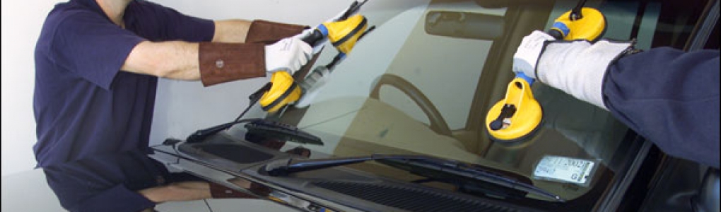 Action 9 investigates door-to-door auto glass repair companies